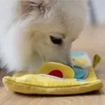 AFP Hvalpeaktivitetsbog | Puppy Nose Work